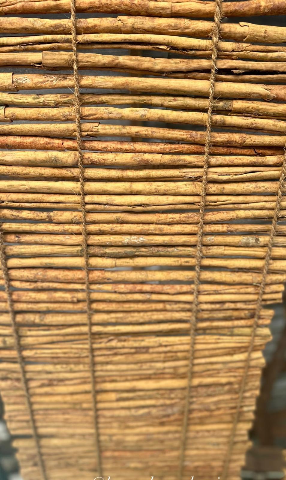 Rows of cinnamon sticks laid out and tied on a drying rack