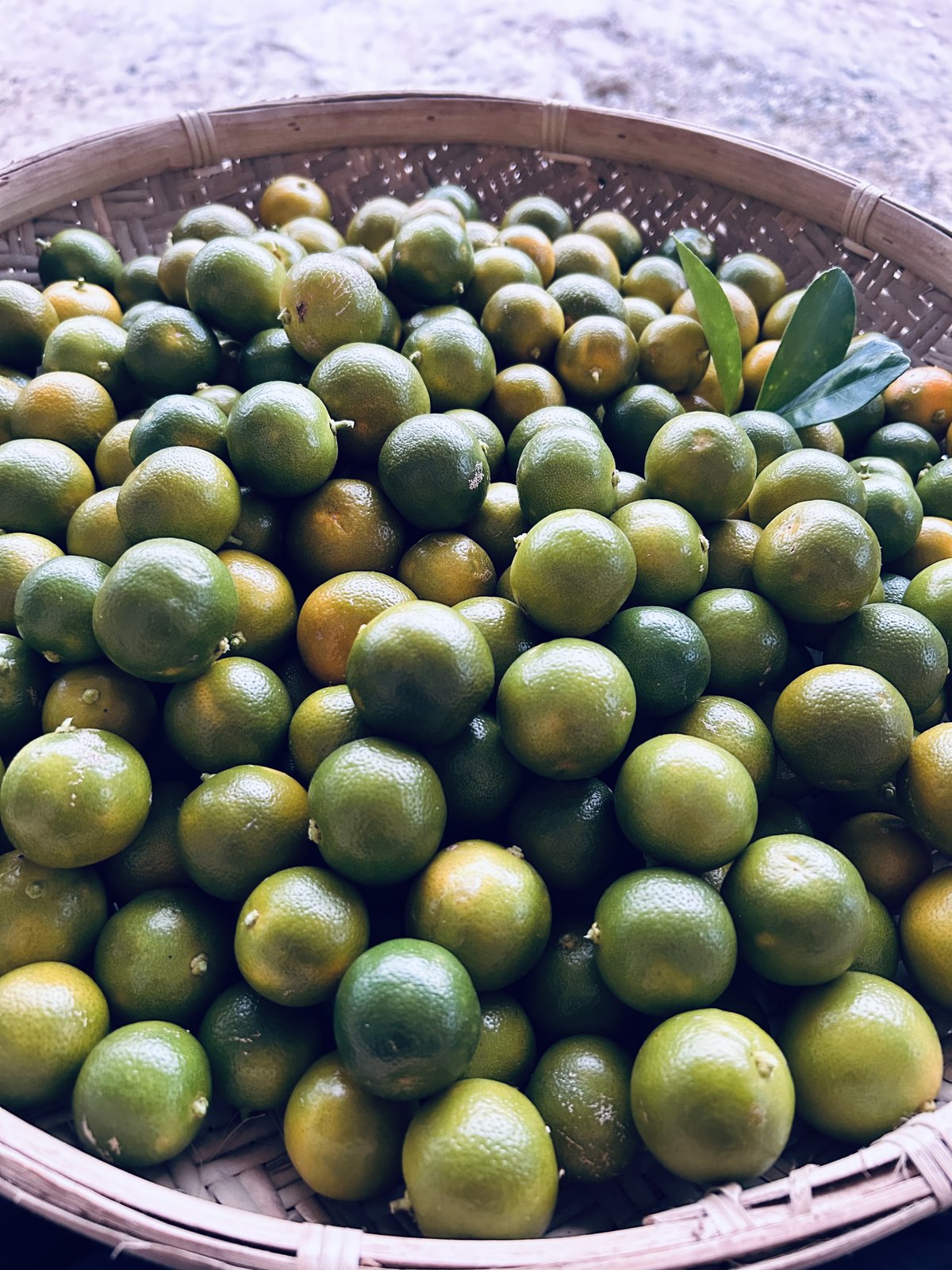 Woven basket filled with small round green and yellow-green citrus fruits